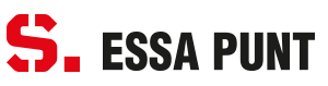 ESSA PUNT — client de neware